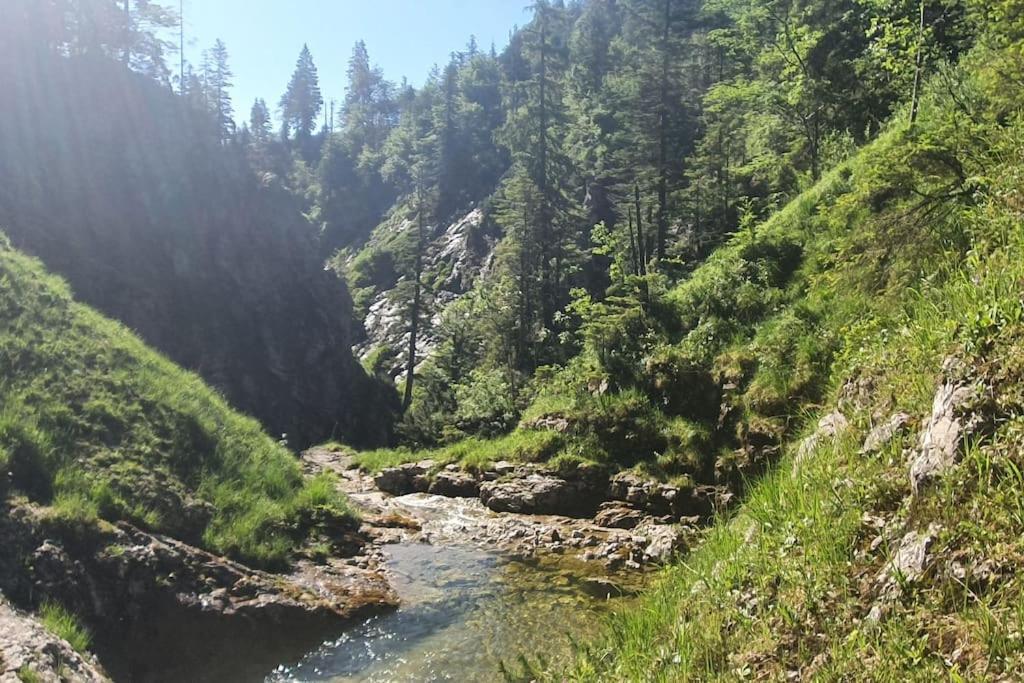 Romantisches Alpenchalet - Mit Sauna Und Kamin - Ruhig Und Zentral Bad Tölz Dış mekan fotoğraf