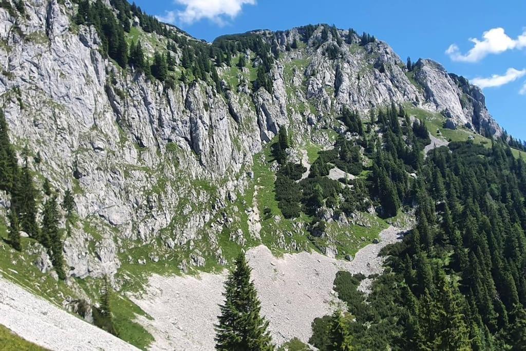 Romantisches Alpenchalet - Mit Sauna Und Kamin - Ruhig Und Zentral Bad Tölz Dış mekan fotoğraf